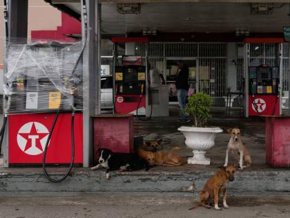 Fuel pumps are covered in plastic at a gas station ahead of the arrival of Hurricane Melissa in Kingston, Jamaica, on Sunday, October 26.