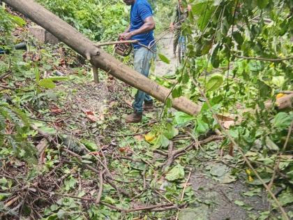 Personnel work to clear debris from a roadway in Damhead district, where the Bog Walk Gorge is located, after Hurricane Melissa.