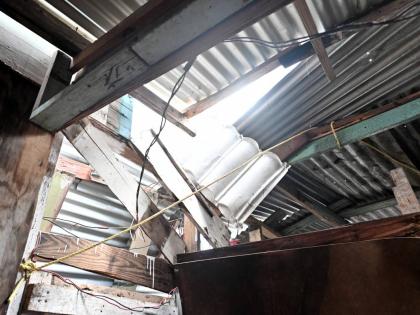 Ann Marie Young’s two-bedroom house that was damaged by a fallen tree in Roaring River in St Ann. Young’s daughter suffered a broken leg during the mishap on Tuesday Night after the passing of Hurricane Melissa.