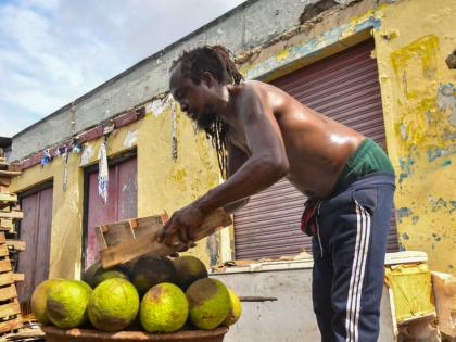 Eyan Williams, resident of Kidd Lane in Kingston, roasts breadfruit for himself and fellow residents after produce fall from trees during onslaught of Hurricane Melissa.