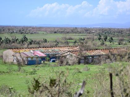 This photo shows Pond Side Primary School in Black River, St Elizabeth, which has been left without a roof after the passing of Hurricane Melissa.