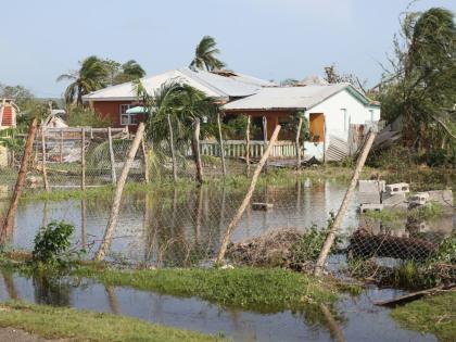 This 2024 photo shows houses in Portland Cottage damaged by Hurricane Beryl.