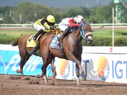 FUNCAANDUN (right), ridden by Tevin Foster, wins The Distinctly Irish Trophy ahead of ATOMICA (Omar Walker) at Caymanas Park on Saturday, August 24, 2024.  