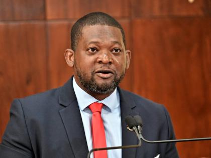 Commander Alvin Gayle, Director General, Office of Disaster Preparedness and Emergency Management (ODPEM).