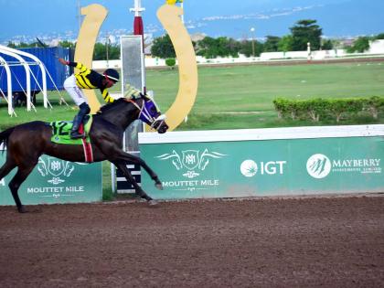 Raddesh Roman stands tall in the saddle as DIGITAL ONE wins the Trevor McKenzie Trophy over five furlongs round at Caymanas Park on September 15, 2024.