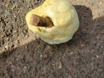 The National Water Commission released a photo it says shows a water distribution valve in Alligator Pond blocked with foam. The commission says it is one of several cases of "illegal tampering" identified in the area.