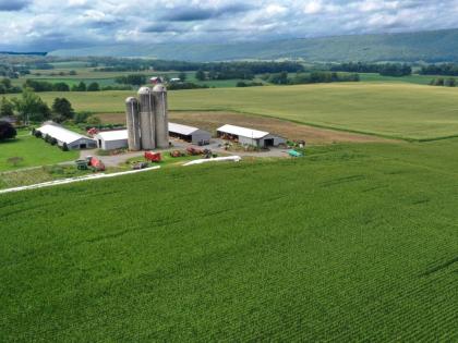 
A corn field is seen in Mill Hill, Pennsylvania, August 29, 2023.