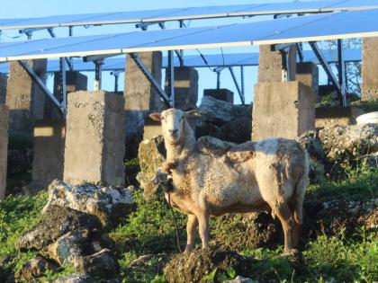 Keith R. Wedderburn’s solar panels have been replaced after Hurricane Melissa blew them away.