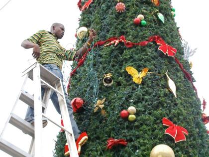 Vermon Taylor is pictured decorating the Christmas tree for the parish of St James.