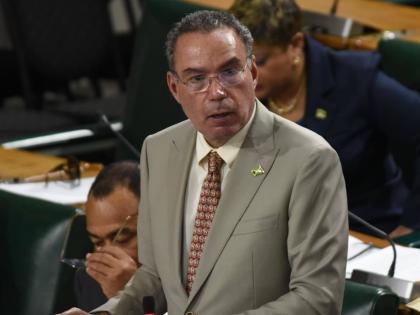 Minister of Energy Daryl Vaz speaking in Parliament on January 13, 2026.