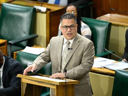 Minister of Water, Environment and Climate Change, Matthew Samuda, addresses the House of Representatives on January 13.

