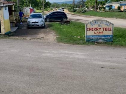 Entrance to Cherry Tree in Clarendon, where marl and river shingles have been laid to strengthen the base and reduce mud during rainfall.