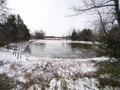 A pond where neighbors say three young boys died after falling into the water is seen on Tuesday, January 27, 2026, in Bonham, Texas. 