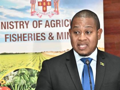 Floyd Green, minister of agriculture and prosecution witness. 