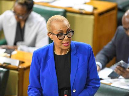 Fayval Williams, minister of finance and the public service, addresses the House of Representatives yesterday. 