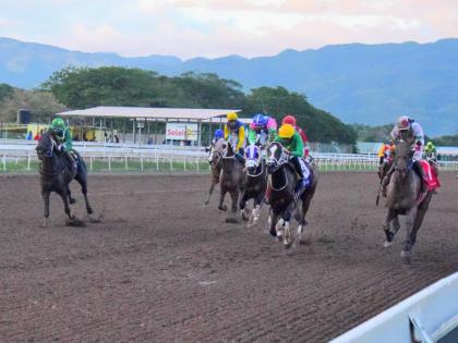 
WHIZZ KIDD (right), ridden by Robert Halledeen, wins the seven-furlong nightpan ahead of RANI BANGALA (Tevin Foster) at long odds 67-1 at Caymanas Park yesterday.