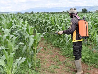  Jamaica’s farmers are mostly low-skilled, mostly working small plots, using low technology.