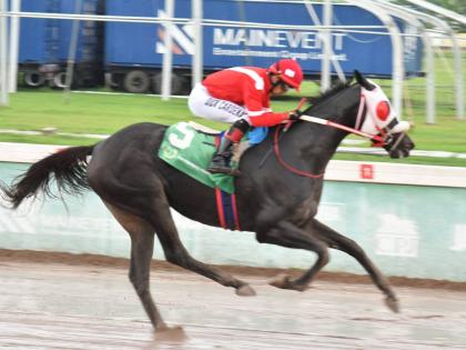 SUPERNATURAL POWER, ridden by Dick Cardenas, wins the Viceroy Trophy over a mile at Caymanas Park on October 20, 2025. 