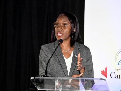 Rose Miller, financial education consultant with the JN Foundation, addressing delegates at the Caribbean CSO Conference and World NGO Day, recently.
