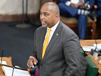 Julian Robinson, opposition spokesperson on finance, addresses Parliament as he makes his contribution to the Budget Debate on March 12. 