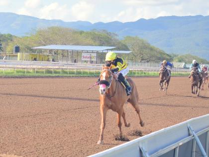 Anthony Minott/Freelance Photographer 
SALUTE THE DON, ridden by Dane Dawkins, wins the 32nd running of the Sir Howard Stakes at Caymanas Park yesterday.
