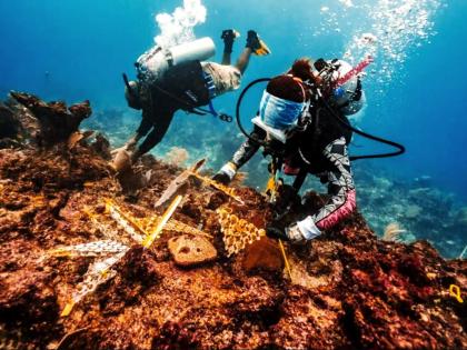 Coral outplanting in the Dominican Republic. 