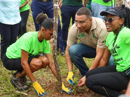 Prime Minister Dr Andrew Holness is assisted by two volunteers in planting a tree in Lowe River Forest, Trelawny yesterday.