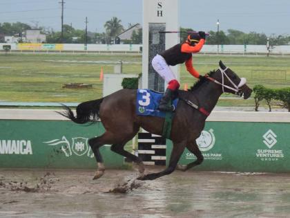 
MONEY MARKET, ridden by Dane Dawkins, wins the Gregory Park Sprint  over five and half furlongs at Caymanas Park yesterday.