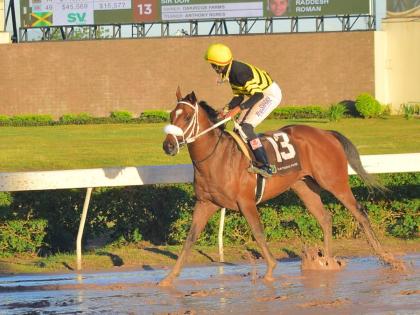 SIR DON, with Raddesh Roman in the saddle, returns to the winners’ enclosuure after capturing the 17th running of the King’s Plate at Caymanas Park yesterday. 