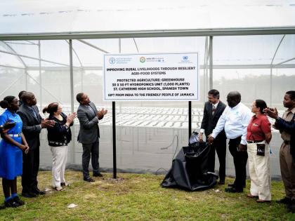 Minister of Agriculture, Fisheries and Mining, Floyd Green, unveils greenhouse signage at St Catherine High School, joined by (from left) Marlon Campbell, principal of St Catherine High School; FAO Representative Dr Ana Touza; United Nations Resident Coord