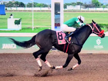 Anthony Minott/Freelance Photographer 
DON KWESI, ridden by Demar Williams, wins the Linval McFarlane Trophy over six-and-a-half  furlongs at Caymanas Park yesterday.