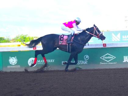 RIDEALLDAY, ridden by Ian Spence, wins the sixth running of the Ian Levy Cup in a track record 1:41:8 seconds at Caymanas Park yesterday. 