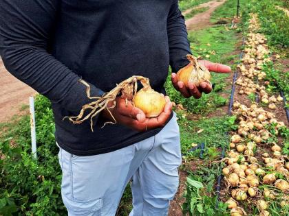 Global warming and climate change are radically altering the dynamics of agriculture.