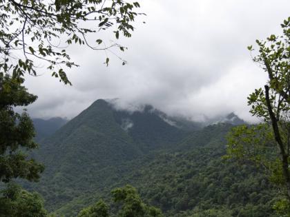 The misty Blue Mountains.