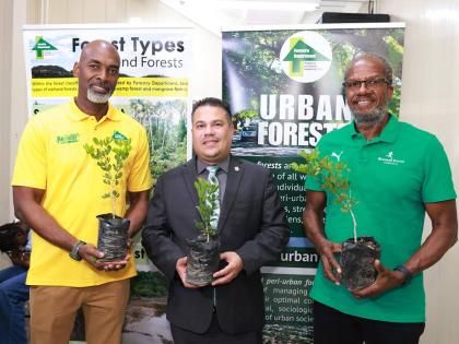 From left: Ainsley Henry, CEO of the Forestry Department and Conservator of Forests; Matthew Samuda, minister of water, environment and climate change; and Alfred Francis, managing director of Running Events Jamaica, are captured during the official launch