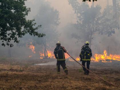 Fiirefighters spray water in a burning forest in the Lège-Cap-Ferret region, western France, Friday, July 24, 2026. (AP Photo/Caroline Blumberg)