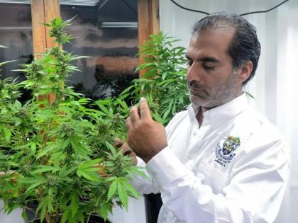 Balram Vaswani, CEO of NUGL Inc, the operator of the Kaya cannabis brand in Jamaica. 