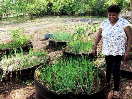 Suzette Levy smiles beside a thriving escallion patch amid drought conditions that have devastated much of her farm in St Catherine. 