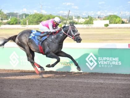 
RIDEALLDAY, ridden by Ian Spence, wins the 54th running of the Phillip Feanny Gold Cup over seven furlongs at Caymanas Park yesterday.