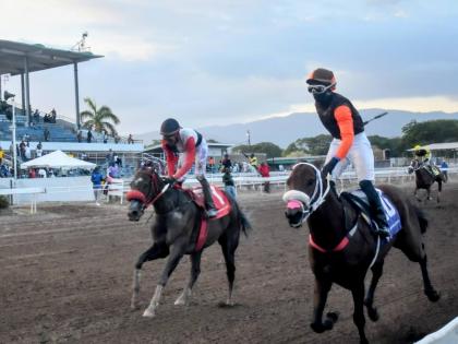 STARDOM (right), ridden by Dane Dawkins, wins the Winston ‘Fanna’ Grifiths OD Classic ahead of  I LOVE BIIRDIE (Reyan Lewis ) at Caymanas Park  yesterday.