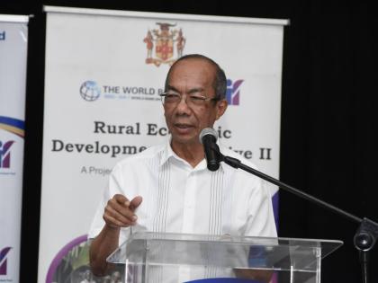 Deputy Prime Minister and National Security Minister Dr Horace Chang.