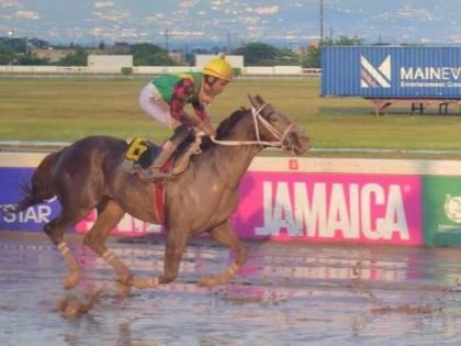 Of A Revolution in action during the Miracle Man Trophy on January 1.  