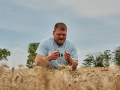 Bryce Black inspects two strands of weather-stressed wheat, July 29, 2026, at his farm in Beloit, Kansas.