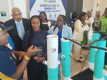 Minister of state in the Ministry of Tourism, Tova Hamilton (fourth left), looks on as Fort Valley State University professor, Dr Bipul Biswas (left), highlights features of equipment used in hydroponic farming at the 10th International Food Security and S