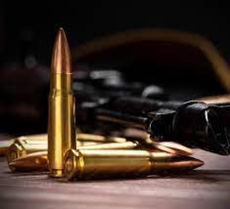 Gun and ammunition seized.