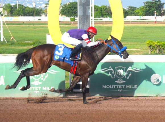BOOTYLICOUS, ridden by Reyan Lewis, wins an overnight stakes race over five furlongs straight at Caymanas Park on July 14, 2024.