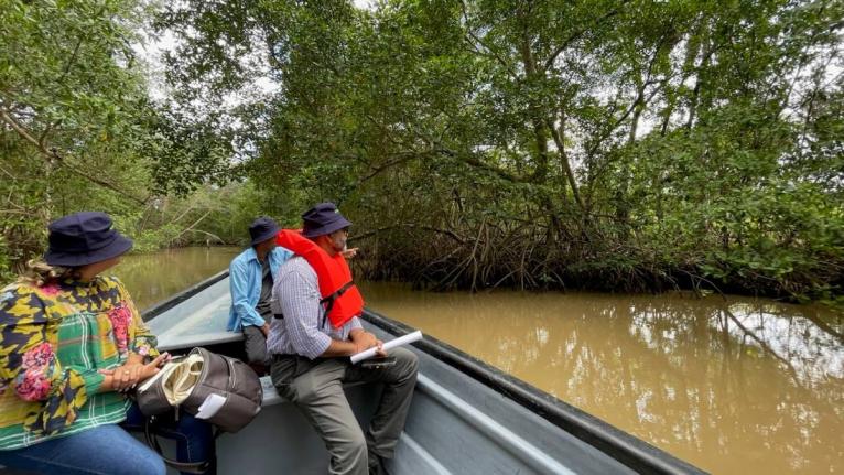 Mangroves serve as a nature-based solution to reduce flooding risks. 