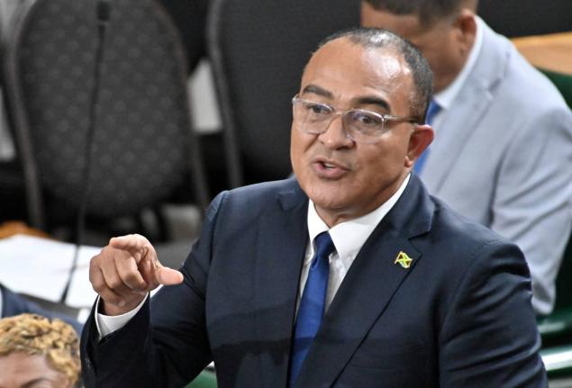 Christopher Tufton, minister of health and wellness.