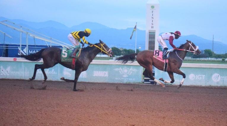 DOTHARAKI (right), ridden by Robert Halledeen, wins the ninth race ahead of DIGITAL ONE (Dane Dawkins)  at Caymanas Park yesterday.