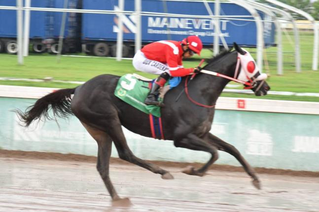 SUPERNATURAL POWER, ridden by Dick Cardenas, wins the Viceroy Trophy over a mile at Caymanas Park yesterday. 